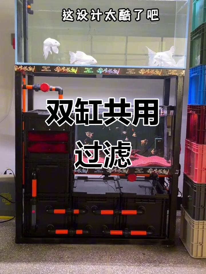 上下双缸设计,共享过滤系统,迷你海底城市般的美丽水族箱