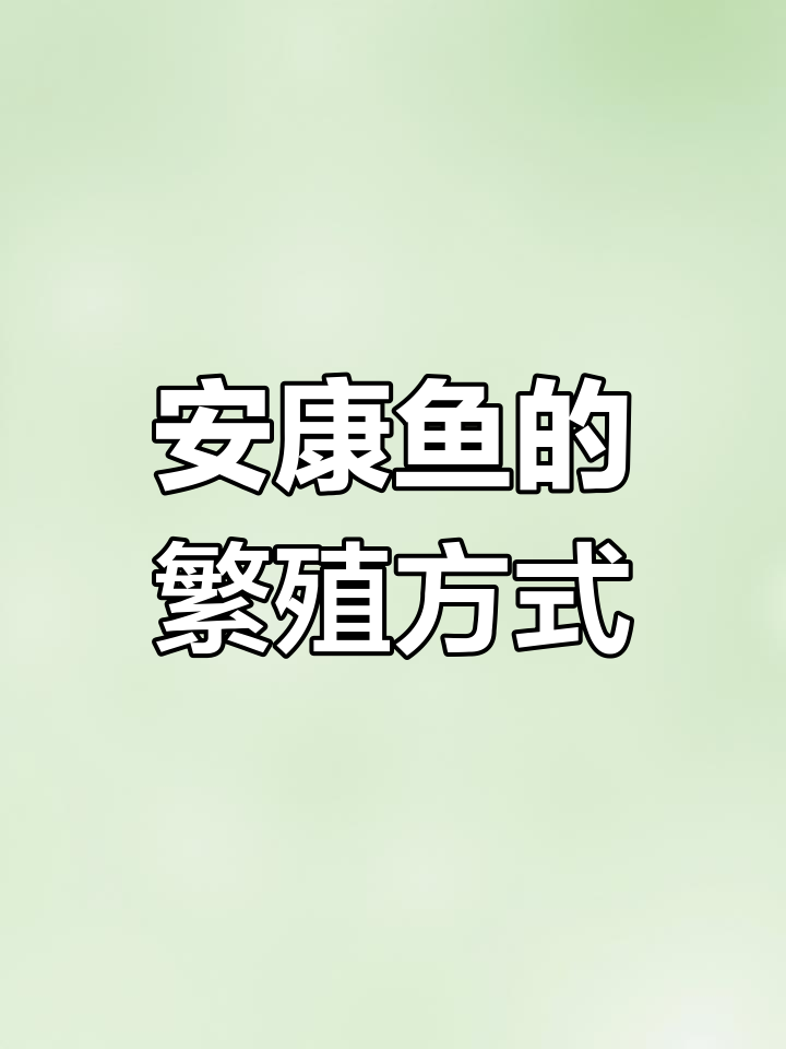 雄性安康鱼为何消失?揭秘两性同体的秘密