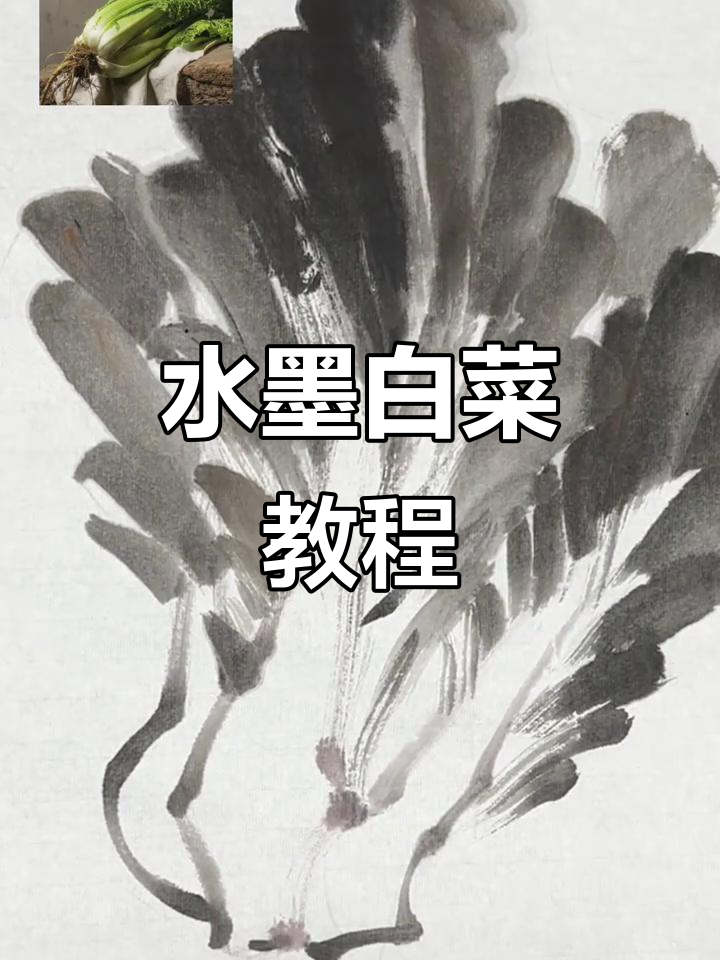 从零开始学水墨,白菜画出富贵气息
