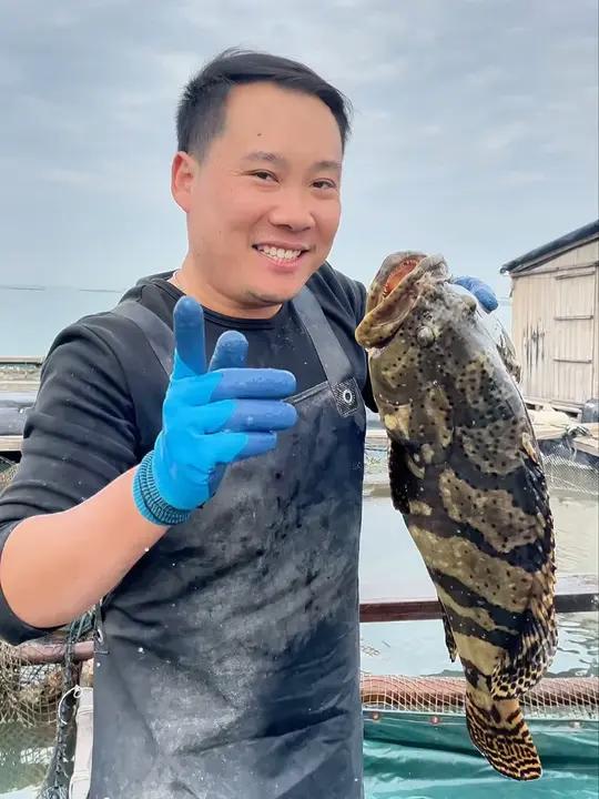 当天新鲜上岸的深海石斑鱼,过年送礼、聚餐、团圆不可少的一道菜!