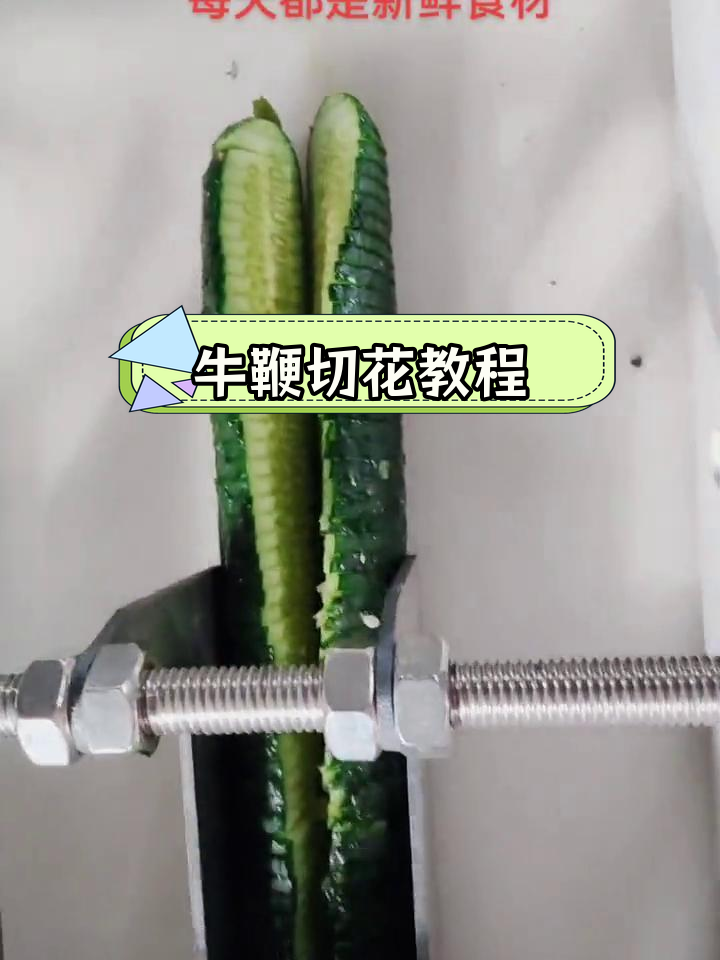 牛鞭切割与切花技巧