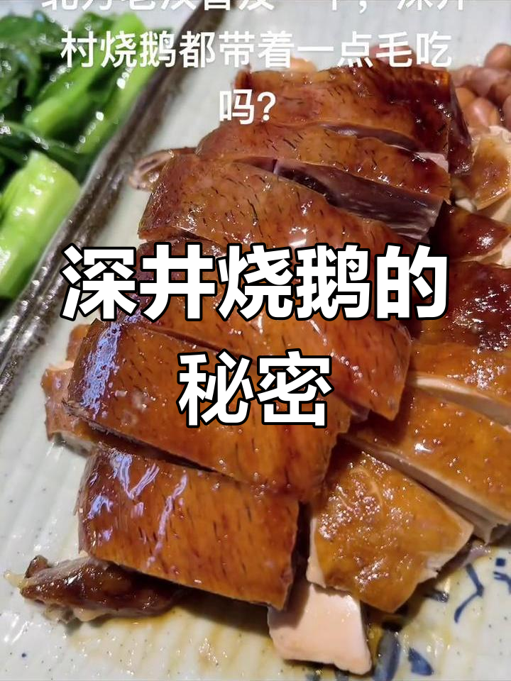 深圳烧鹅真有毛?本地人快来说说!