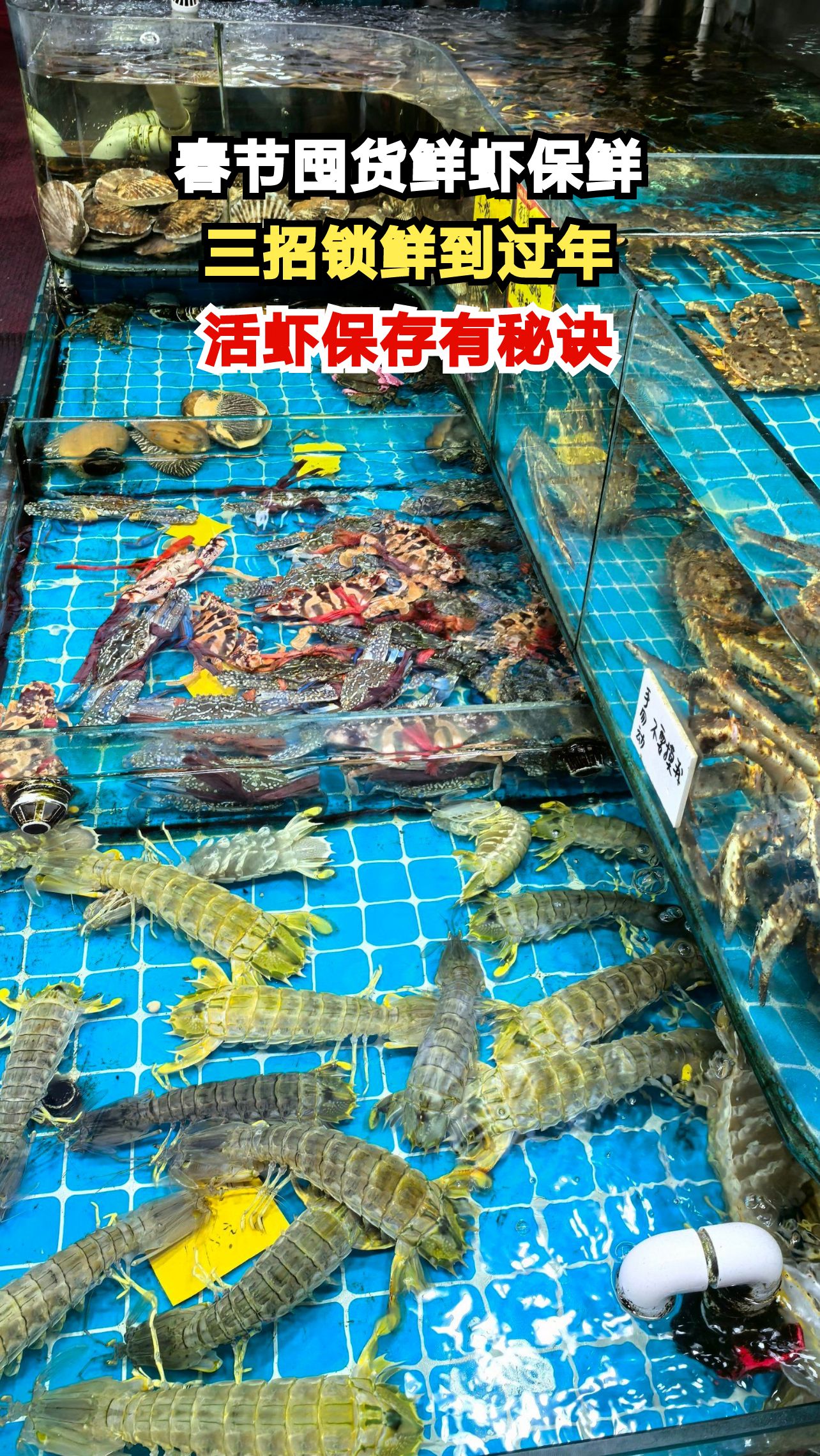 海鲜店老板亲授绝招，这样保存大虾放一年依旧鲜嫩弹牙