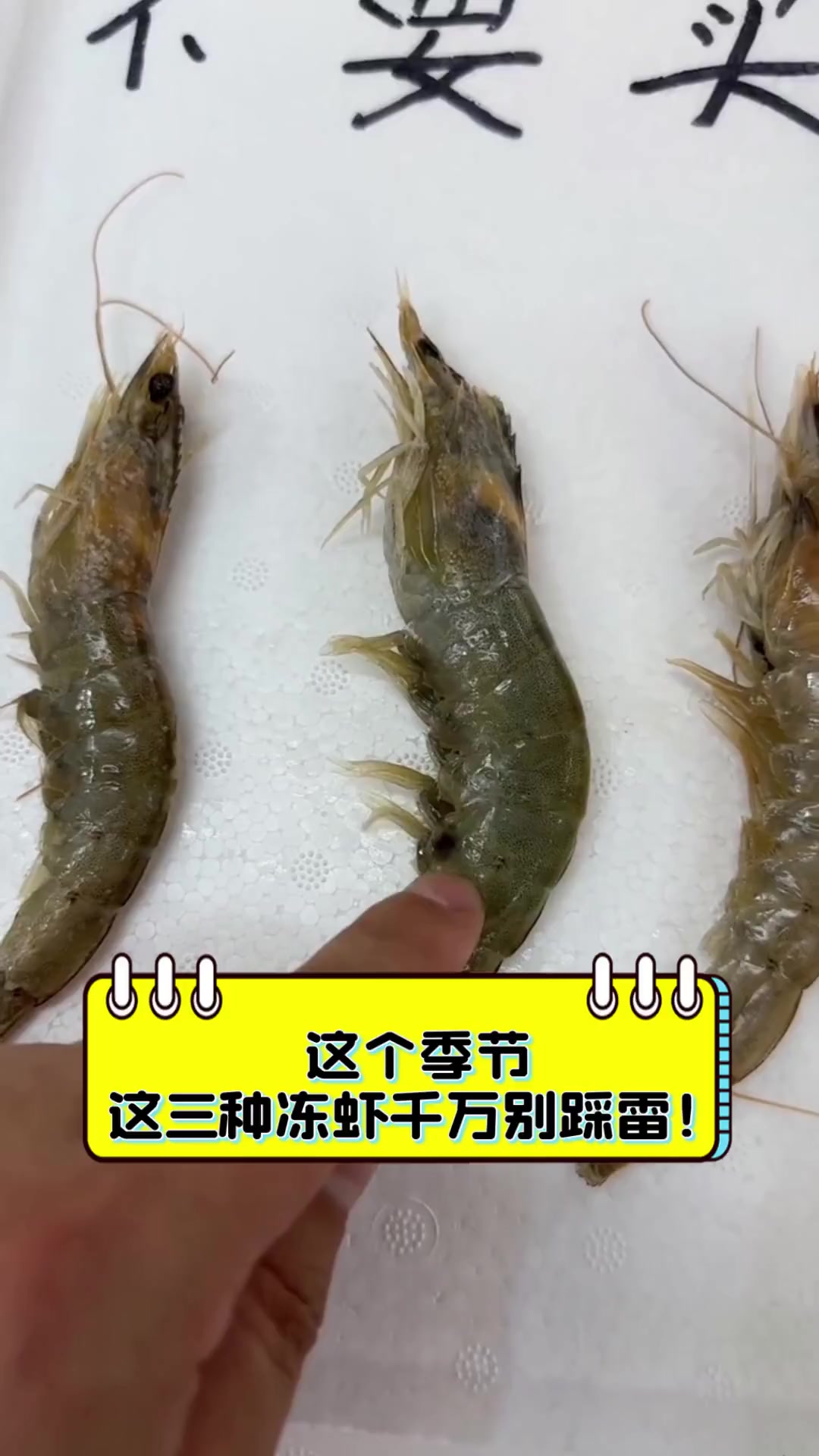 这个季节,这三种冻虾千万别踩雷!