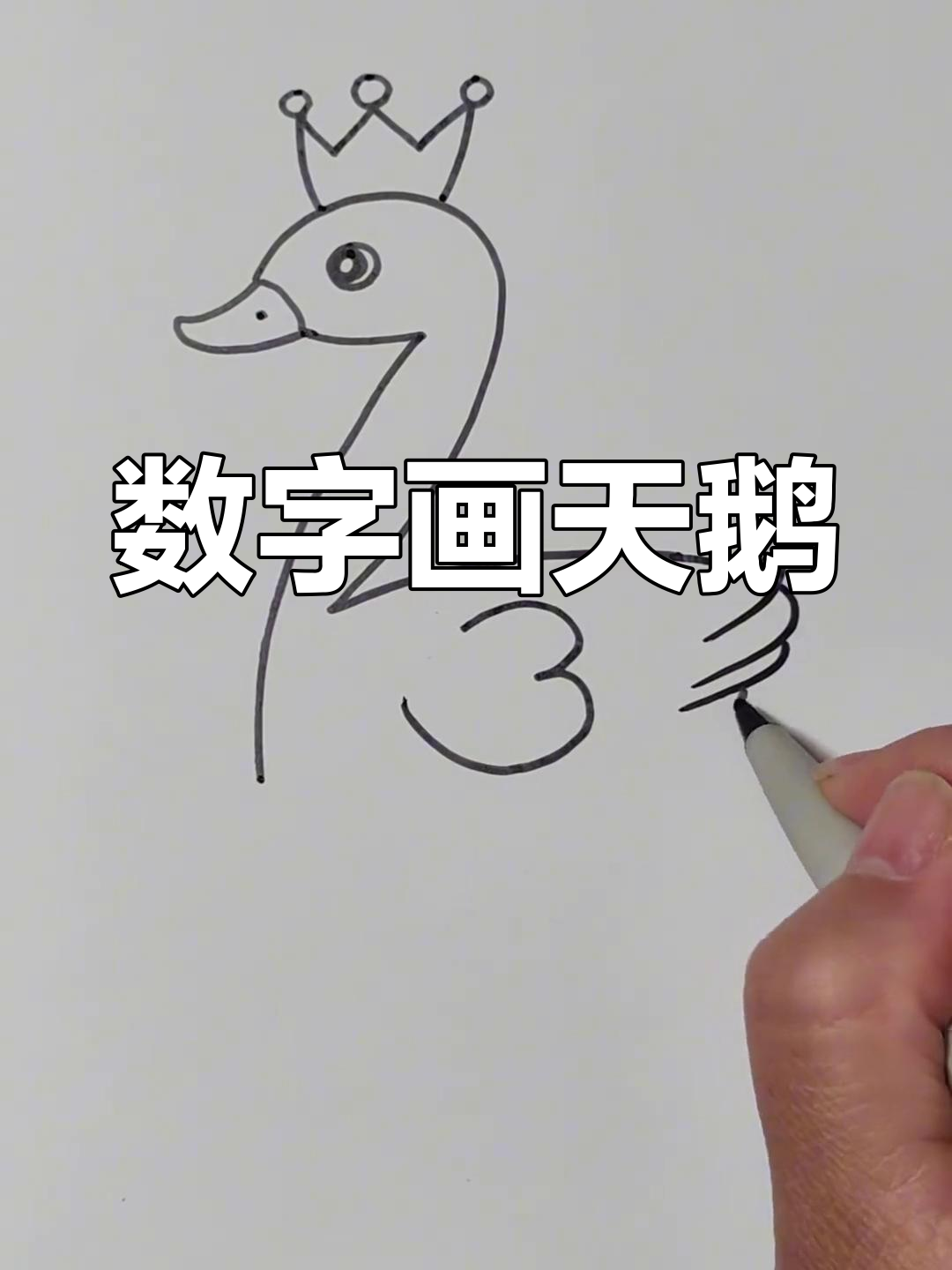 用数字轻松画天鹅,简单又有趣!