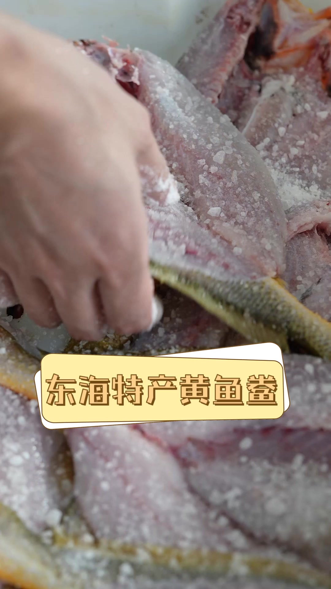东海特产黄鱼鲞