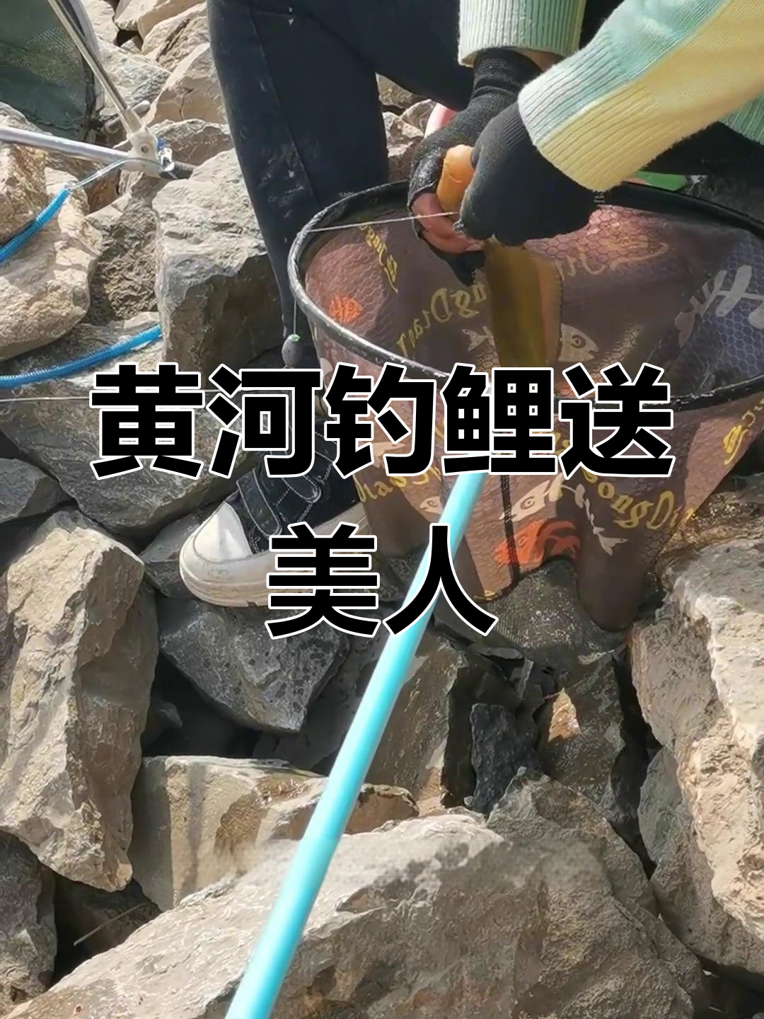 黄河钓鱼偶遇美女,牛尾鱼惊喜上钩