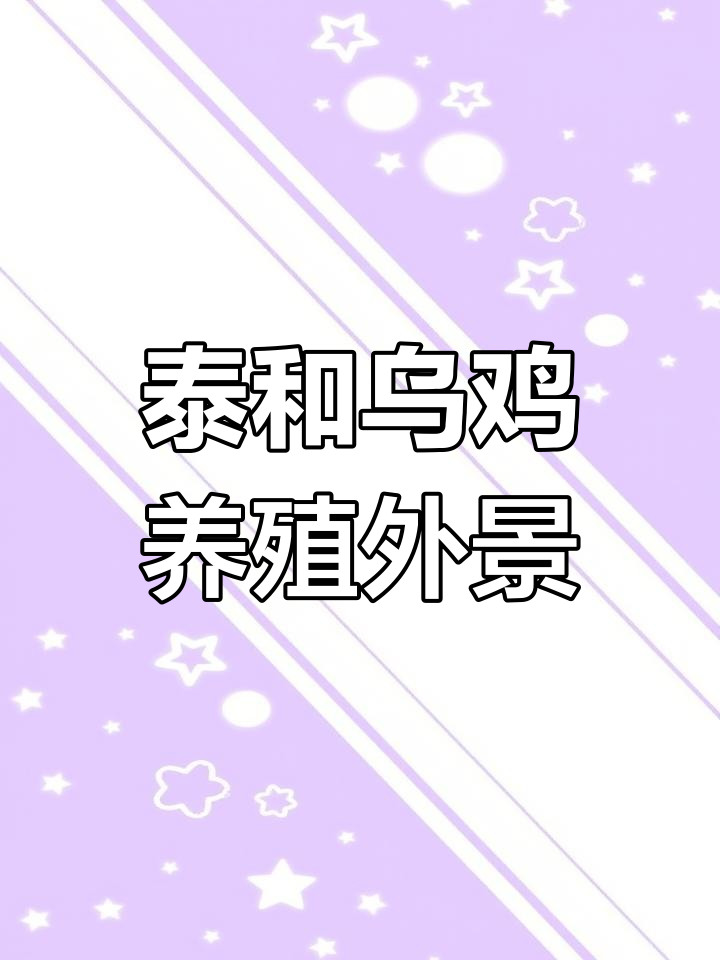 泰和乌鸡养殖场全景展示,生态散养尽显自然风采