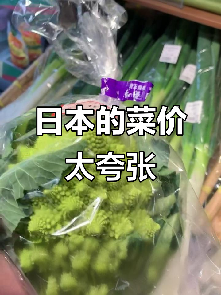 日本超市物价大揭秘:蔬菜贵得离谱,肉和海鲜还算正常
