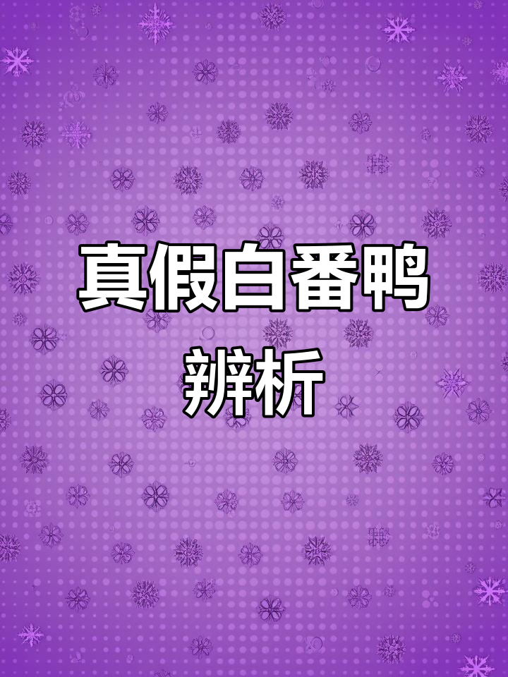 白番鸭与半翻鸭的区别,你了解吗?