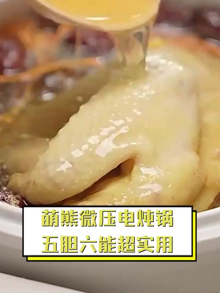 萌熊微压电炖锅,五胆六能超实用
