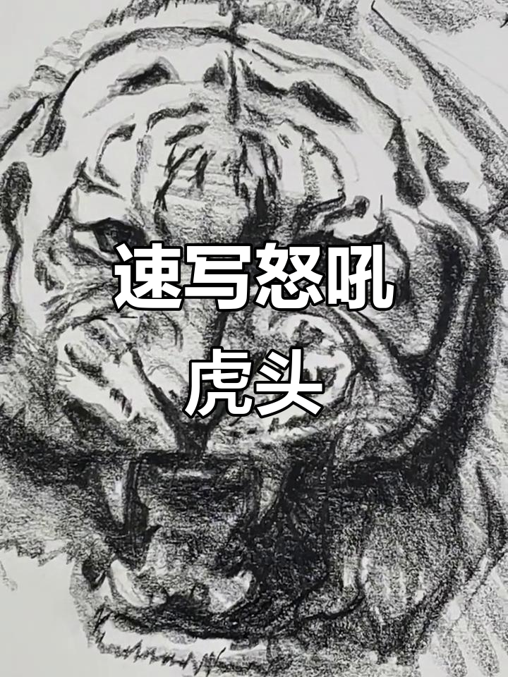 快速画出怒吼老虎头,简单又生动
