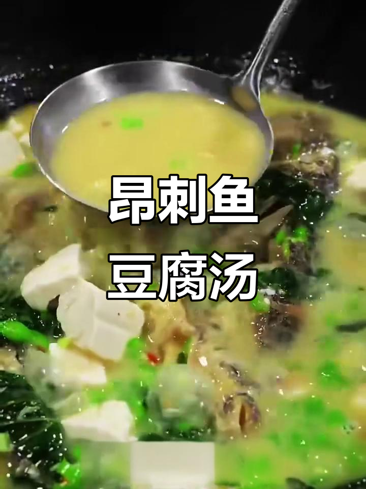 昂刺鱼炖豆腐,简单又美味!