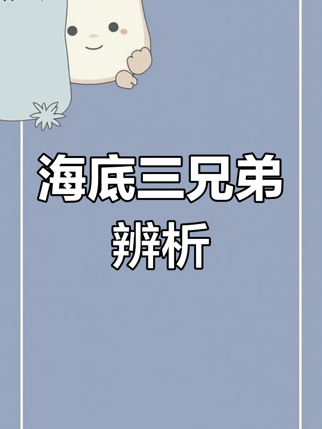 轻松区分章鱼、墨鱼和鱿鱼,还能动手画一画!