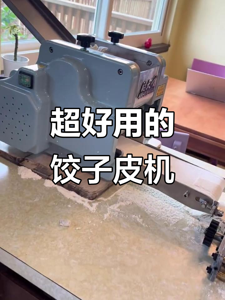 饺子皮机太值了，省时又好用