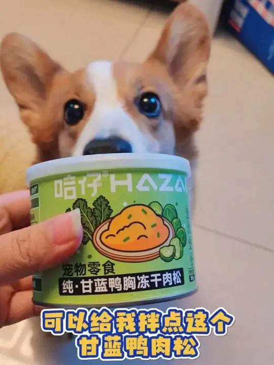 春节不打烊|小狗狗干饭香喷喷的秘诀,拌上几勺甘蓝鸭肉松,光盘 行动轻轻松松!