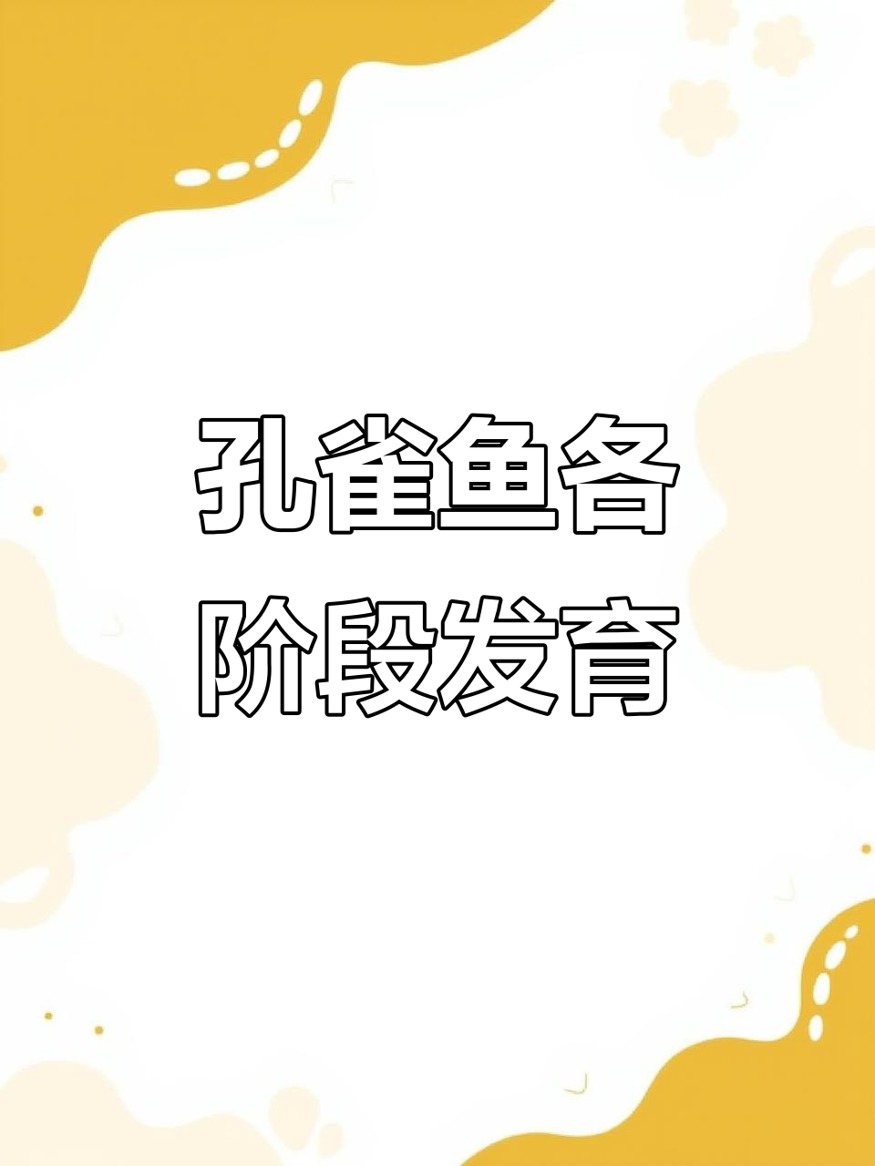孔雀鱼成长全纪录:从卵到成鱼的精彩变化