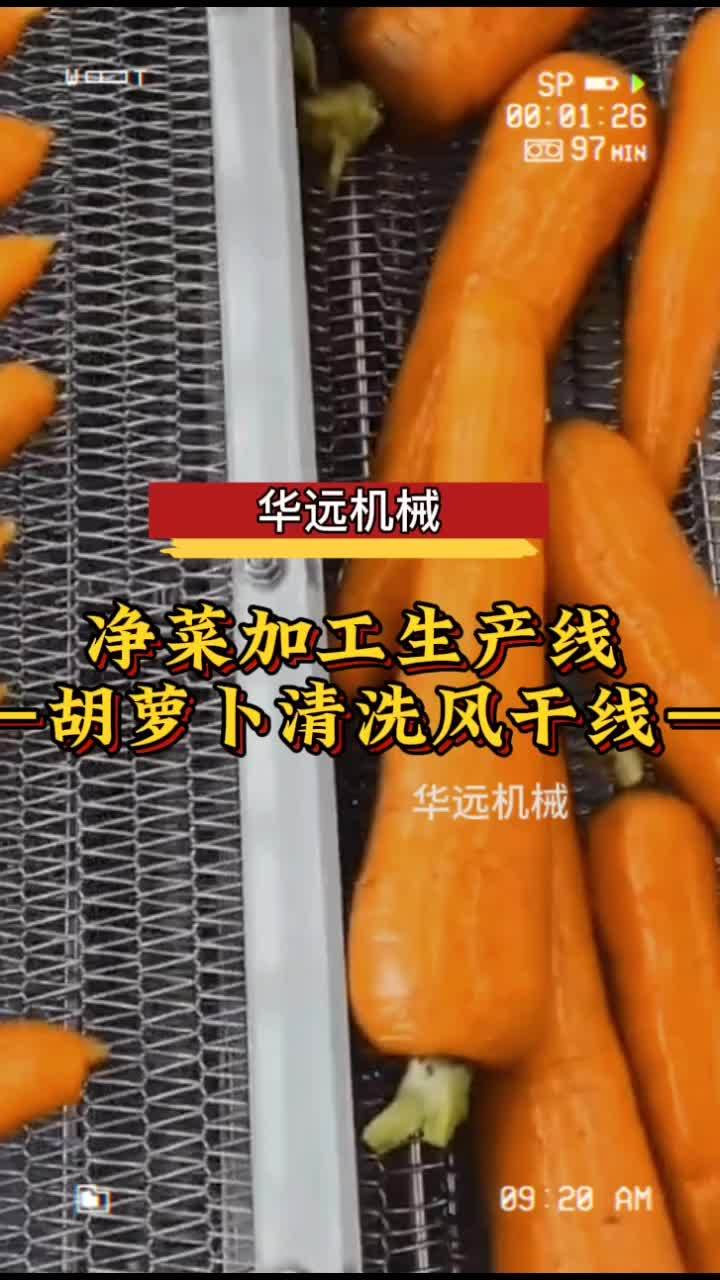 净菜加工设备厂家 胡萝卜清洗流水线 净菜加工流水线 预制菜加工设备