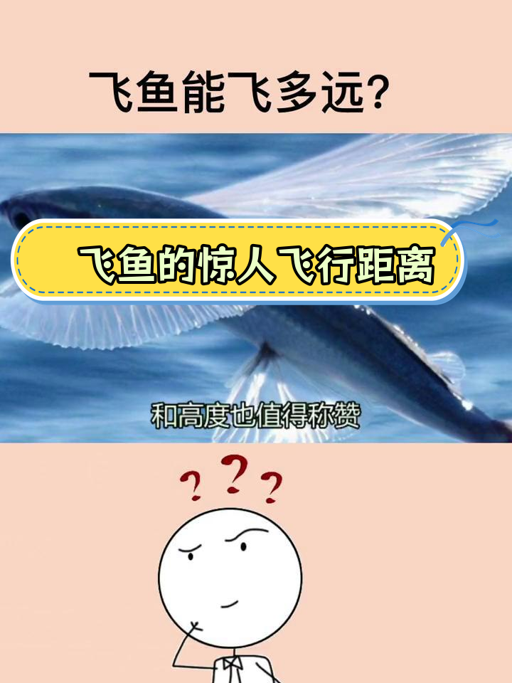 飞鱼飞行能力揭秘:能飞多远?