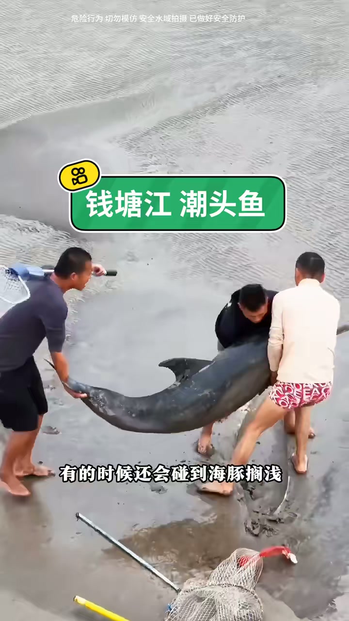 第一视角带你们体验钱塘江抢鱼的快乐