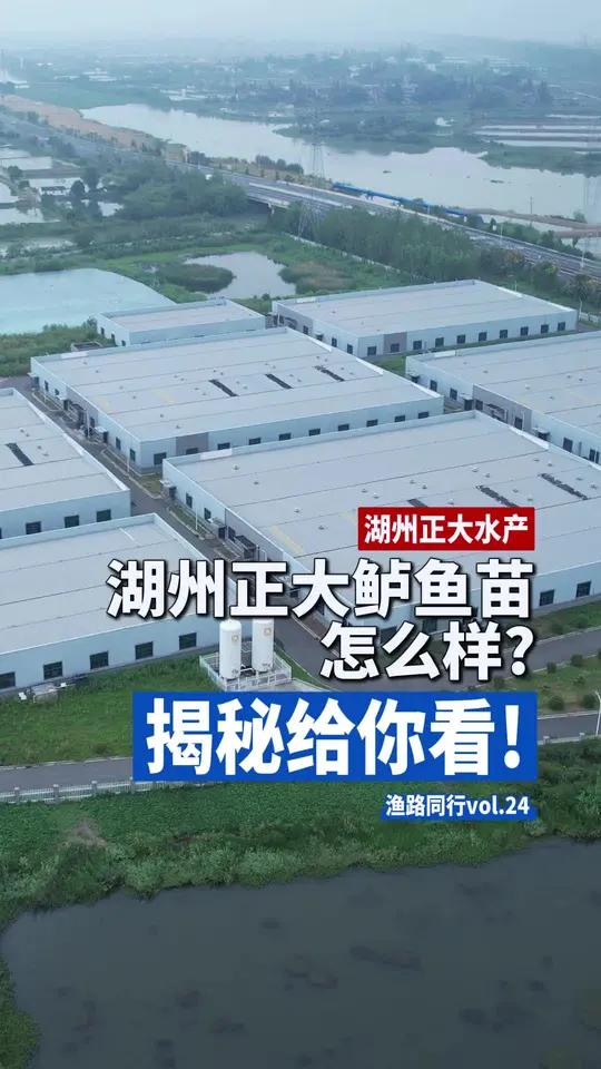 「渔路同行vol.24湖州正大」湖州正大的加州鲈鱼苗怎么样?探访湖州正大揭秘给你看!