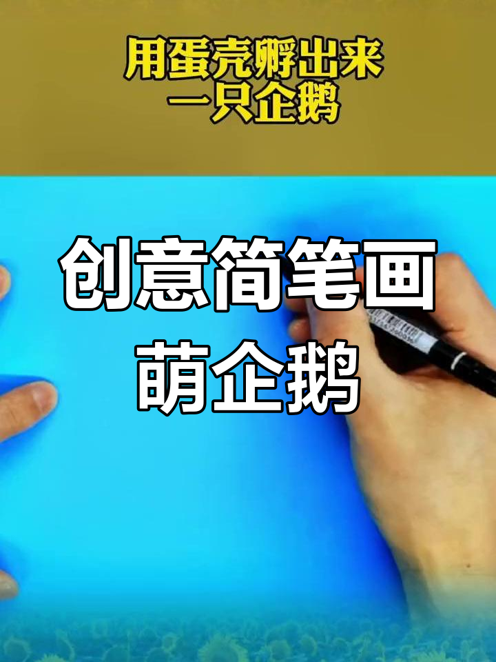 用蛋壳画出可爱企鹅，翅膀、脚丫子和围巾一应俱全