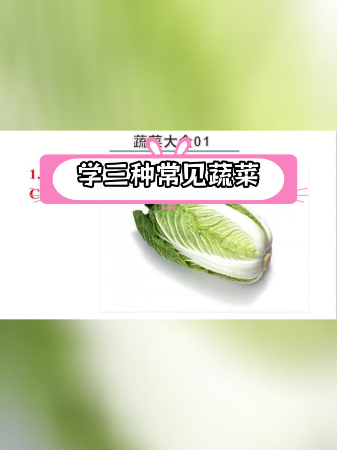 蔬菜种类大揭秘