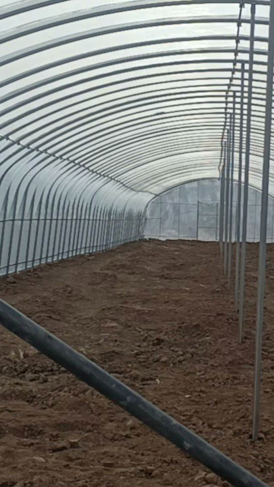 热镀锌钢管养虾大棚看看怎么建设