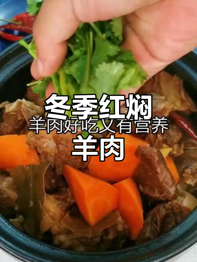 红焖羊肉,家常冬季美味,轻松做出香浓不腻的炖菜