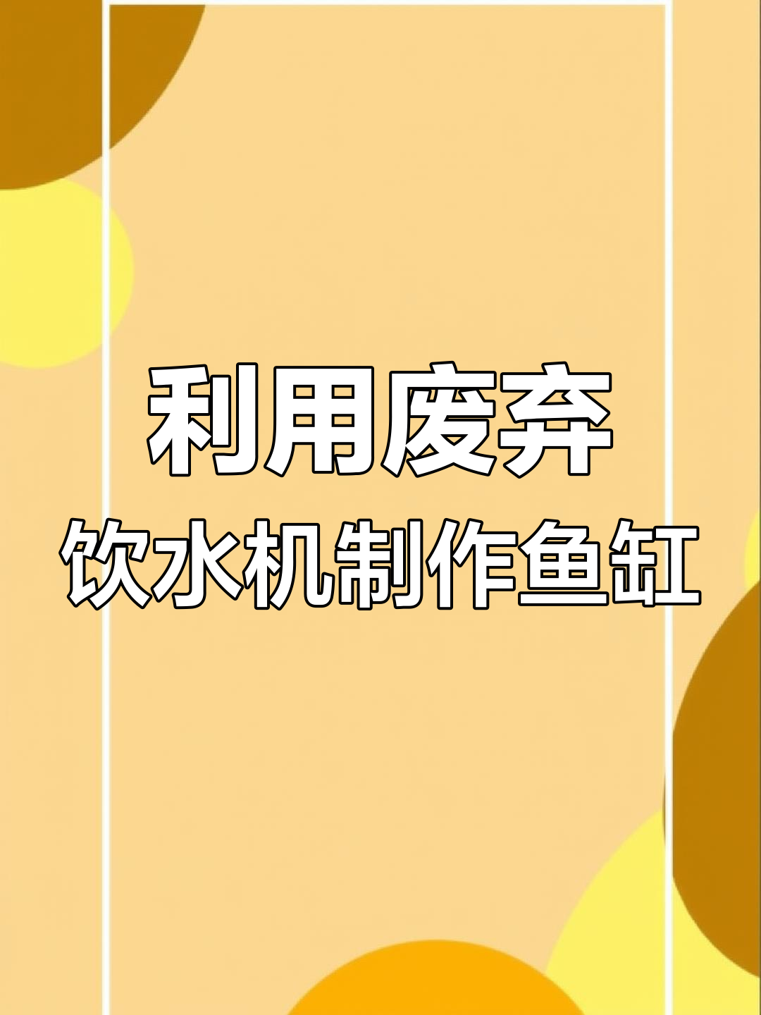 废饮水机变鱼缸,简单几步打造观赏水族箱