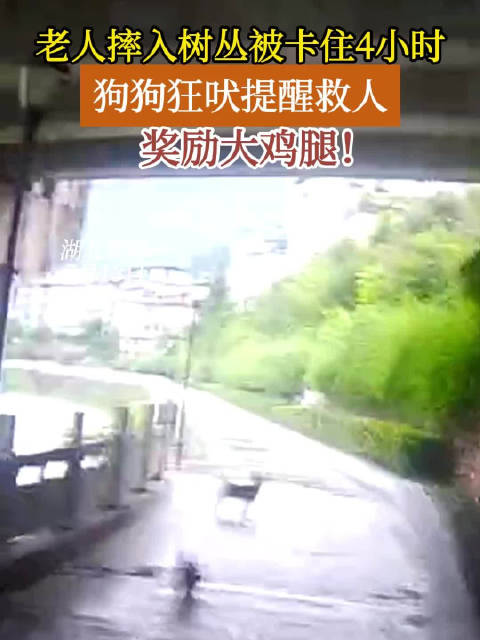 「没想到!救人一命的竟然是条宠物狗」7月13日18时许,鹤峰县公安局容美派出所接到报警,一