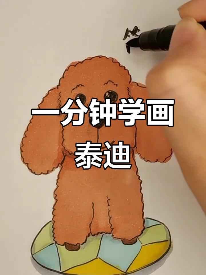 零基础一分钟学会泰迪狗狗简笔画,超简单!