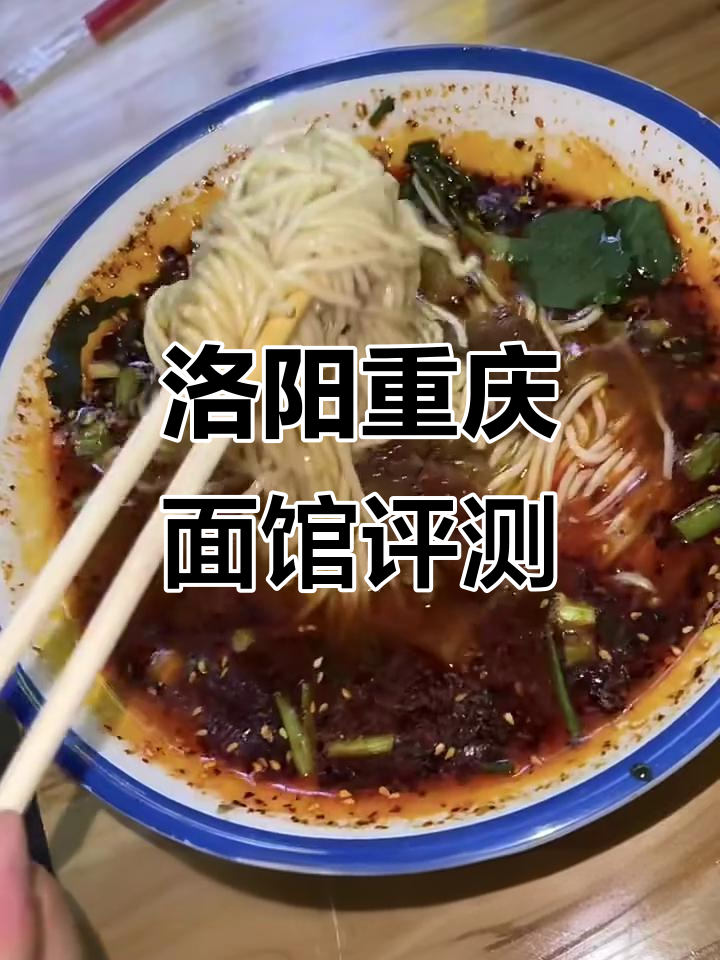洛阳重庆面馆测评：豌杂面、红烧牛肉与酸辣粉全体验