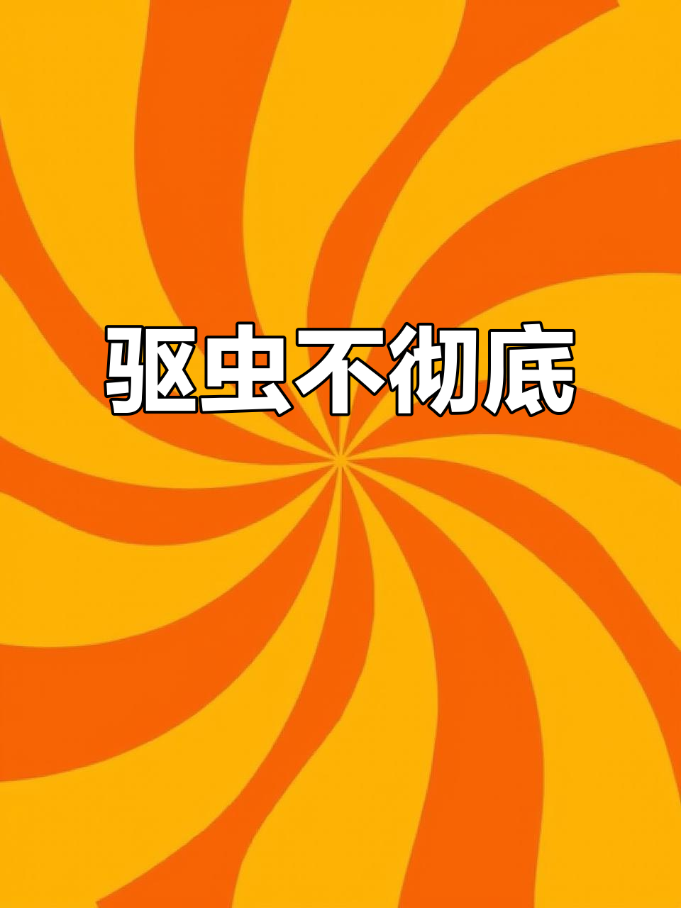 羊屁股里拉出白色肉状物,苍蝇围绕飞舞