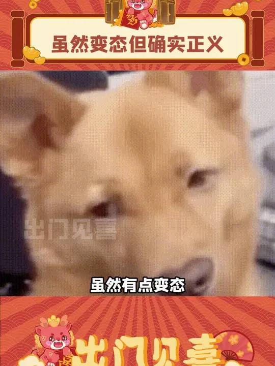 虽然有点变态,但确实是正义啊!