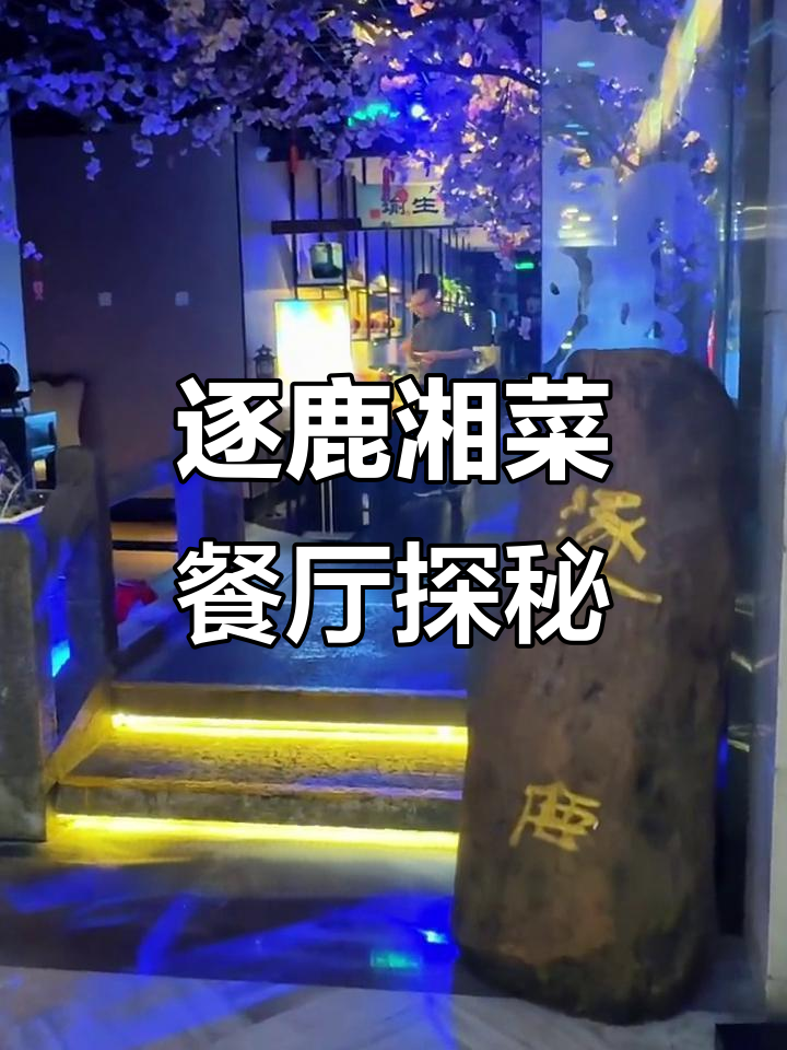 望京福码大厦逐鹿湘菜餐厅:臭鳜鱼、辣椒炒肉,米饭配到停不下来