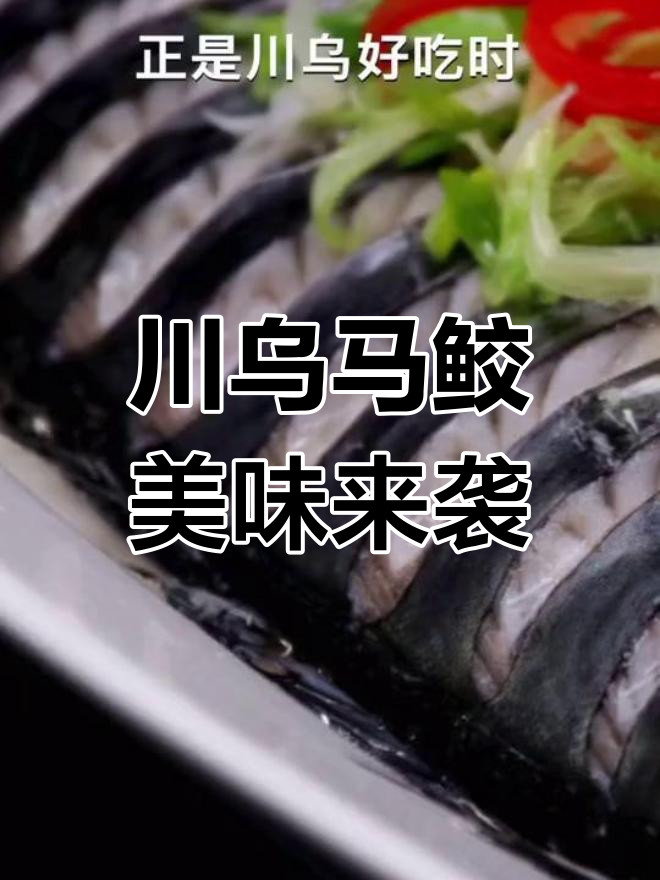 象山港川乌马鲛鱼:清明前后最美味的海鲜盛宴