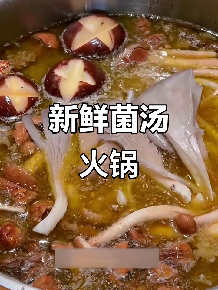 不加汤料包,熬出鲜美菌汤火锅