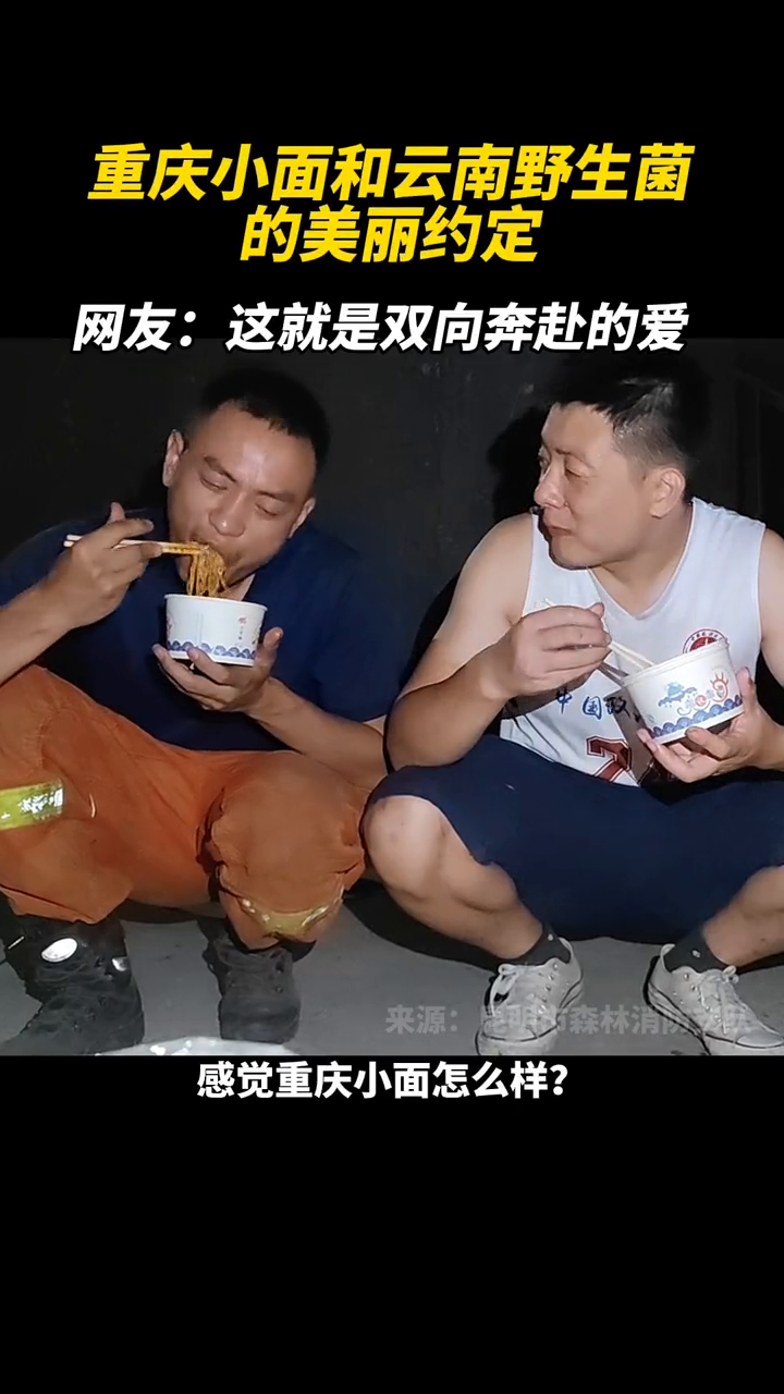 重庆小面和云南野生菌的美丽约定 网友:这就是双向奔赴的爱!