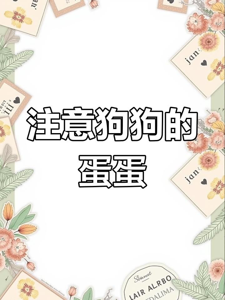 狗狗蛋蛋问题,家长必看!
