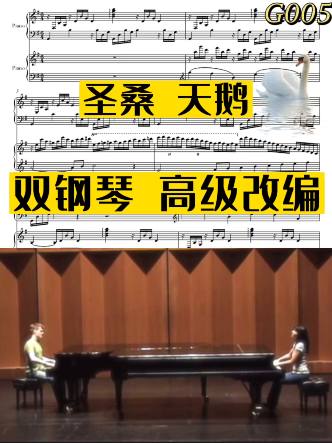 太唯美了圣桑经典名曲《天鹅》双钢琴高级版