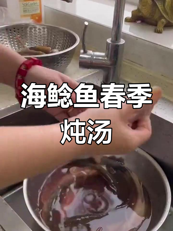 春天海鲶鱼最肥美,处理干净后炖汤超美味