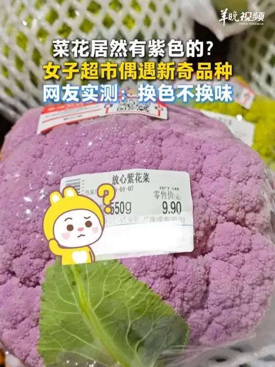 菜花居然有紫色的?女子超市偶遇新奇品种,网友实测:换色不换味。来源:#小羊拍客 @爱吃饭 