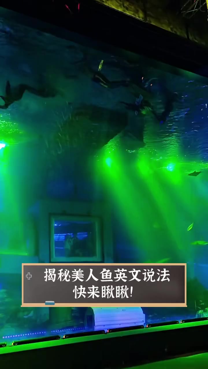 揭秘美人鱼英文说法,快来瞅瞅!