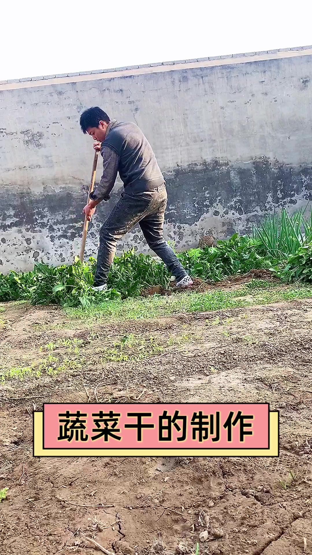 蔬菜干的制作