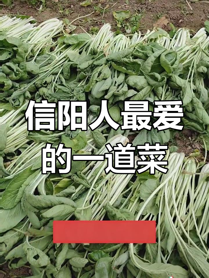 信阳特色酱杆白与辣椒炒,家常美味下饭菜