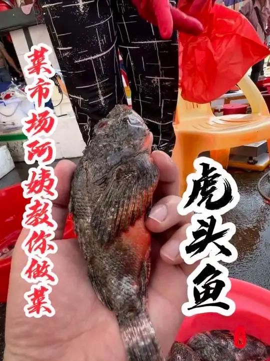 同学们，这个鱼你们那儿叫什么名字？我这一斤20贵不贵呢？