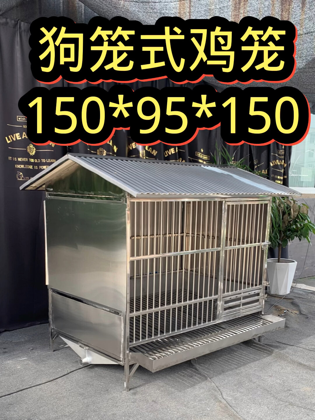 农村鸡笼——狗笼式鸡笼!自动收蛋、带厕所等功