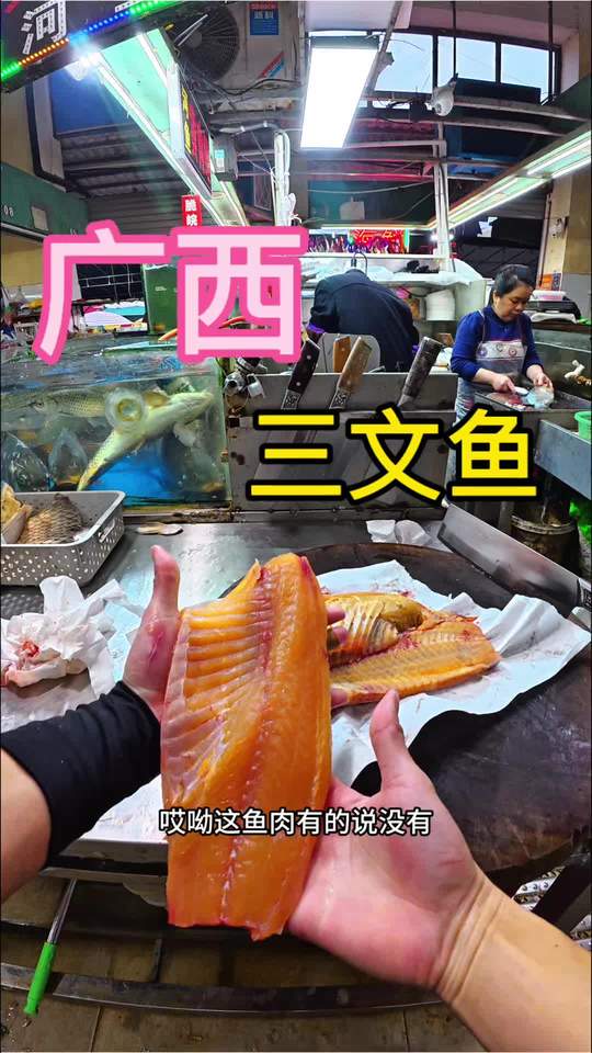 什么样的鲤鱼才称得上广西三文鱼
