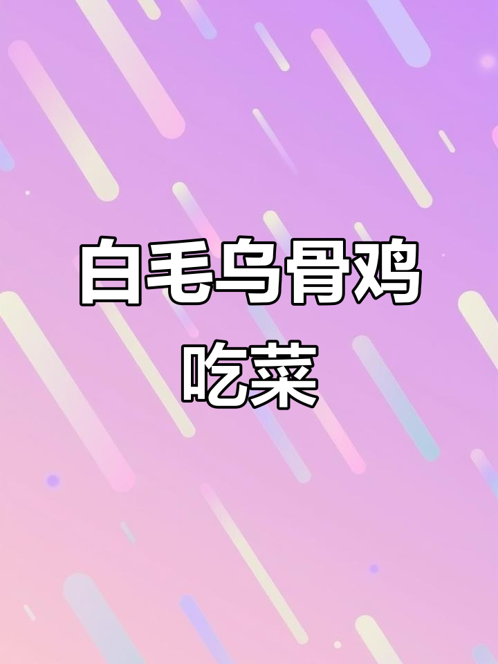 江山白毛乌骨鸡吃白菜,萌态十足